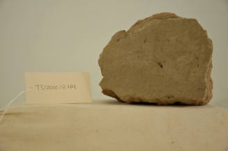 © Michael C. Carlos Museum, Emory University