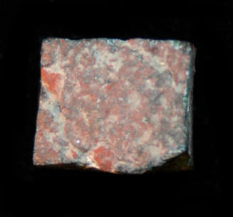 © Michael C. Carlos Museum, Emory University