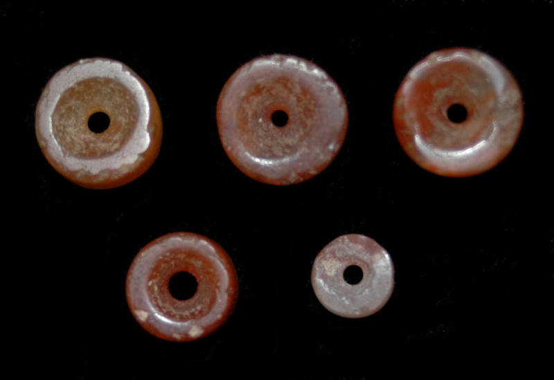 © Michael C. Carlos Museum, Emory University