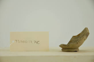 © Michael C. Carlos Museum, Emory University