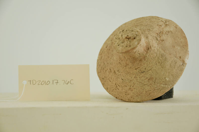 © Michael C. Carlos Museum, Emory University