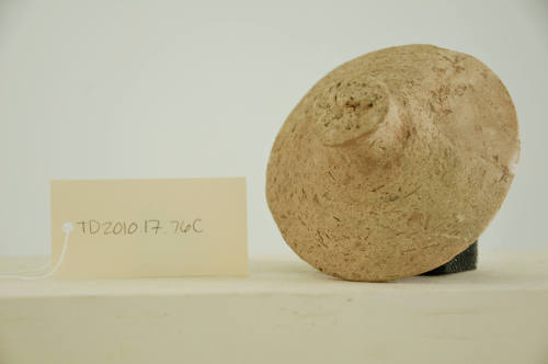 © Michael C. Carlos Museum, Emory University