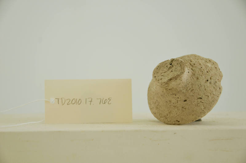 © Michael C. Carlos Museum, Emory University