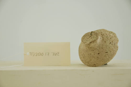 © Michael C. Carlos Museum, Emory University