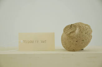 © Michael C. Carlos Museum, Emory University