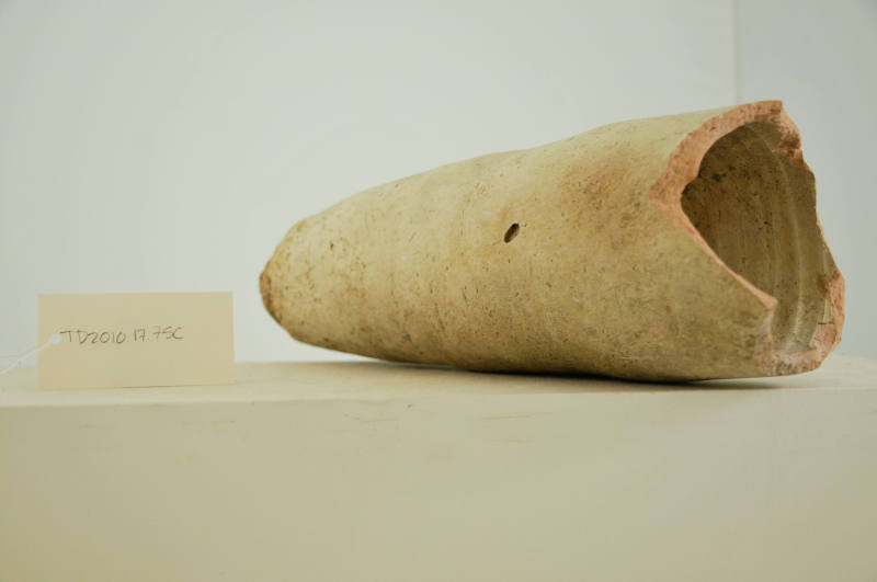 © Michael C. Carlos Museum, Emory University