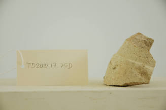 © Michael C. Carlos Museum, Emory University