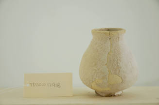 © Michael C. Carlos Museum, Emory University