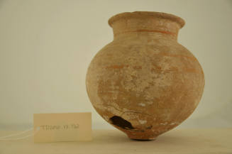 © Michael C. Carlos Museum, Emory University