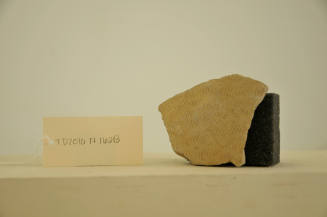 © Michael C. Carlos Museum, Emory University