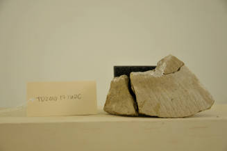 © Michael C. Carlos Museum, Emory University