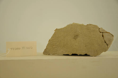 © Michael C. Carlos Museum, Emory University