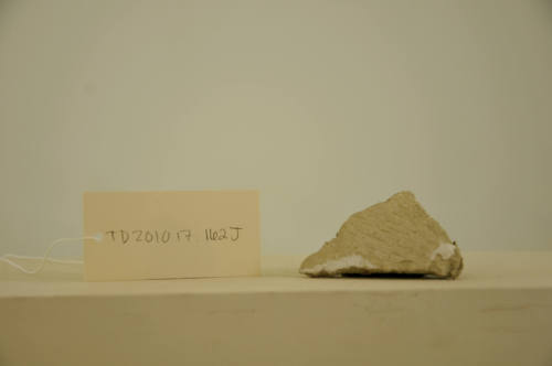 © Michael C. Carlos Museum, Emory University
