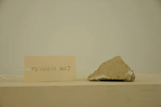 © Michael C. Carlos Museum, Emory University