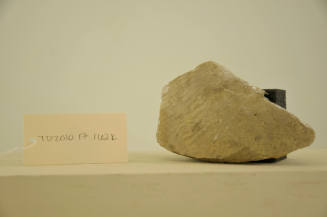 © Michael C. Carlos Museum, Emory University