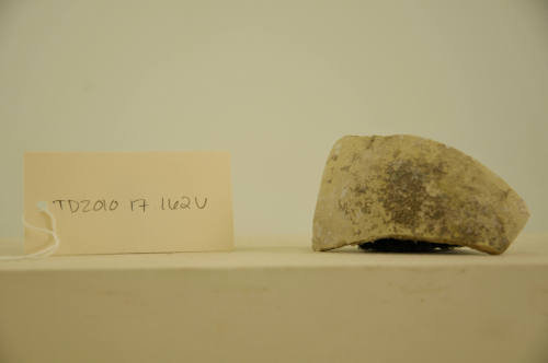 © Michael C. Carlos Museum, Emory University