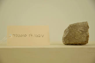 © Michael C. Carlos Museum, Emory University