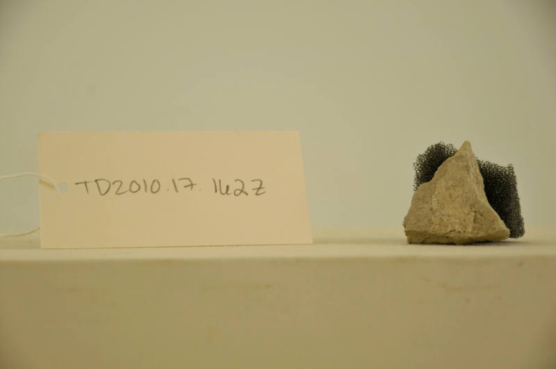© Michael C. Carlos Museum, Emory University