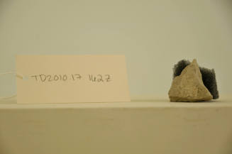 © Michael C. Carlos Museum, Emory University