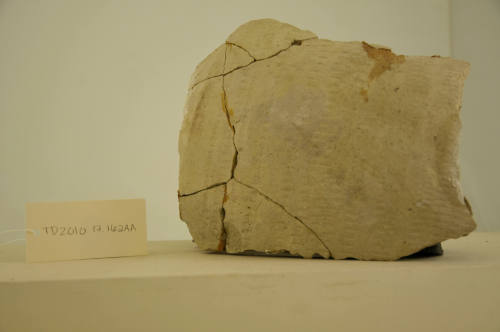 © Michael C. Carlos Museum, Emory University