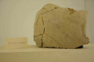 © Michael C. Carlos Museum, Emory University