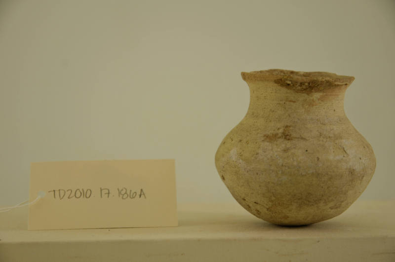 © Michael C. Carlos Museum, Emory University