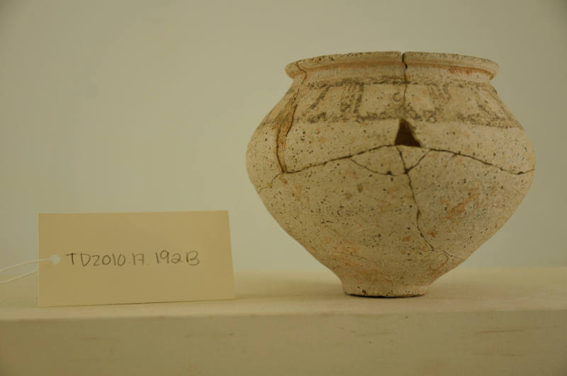 © Michael C. Carlos Museum, Emory University