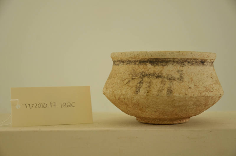 © Michael C. Carlos Museum, Emory University