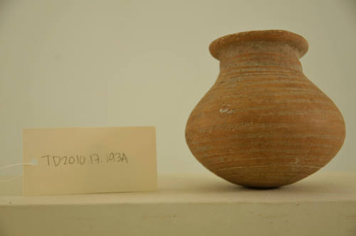 © Michael C. Carlos Museum, Emory University