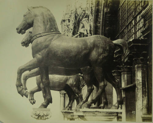 © Michael C. Carlos Museum, Emory University