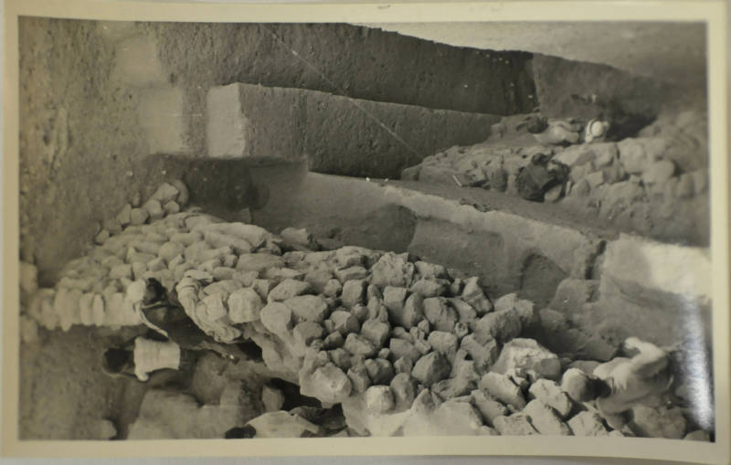 © Michael C. Carlos Museum, Emory University