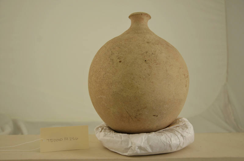 © Michael C. Carlos Museum, Emory University
