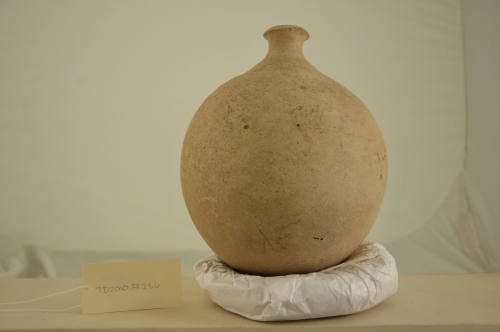 © Michael C. Carlos Museum, Emory University