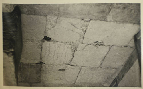 © Michael C. Carlos Museum, Emory University