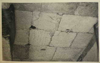 © Michael C. Carlos Museum, Emory University