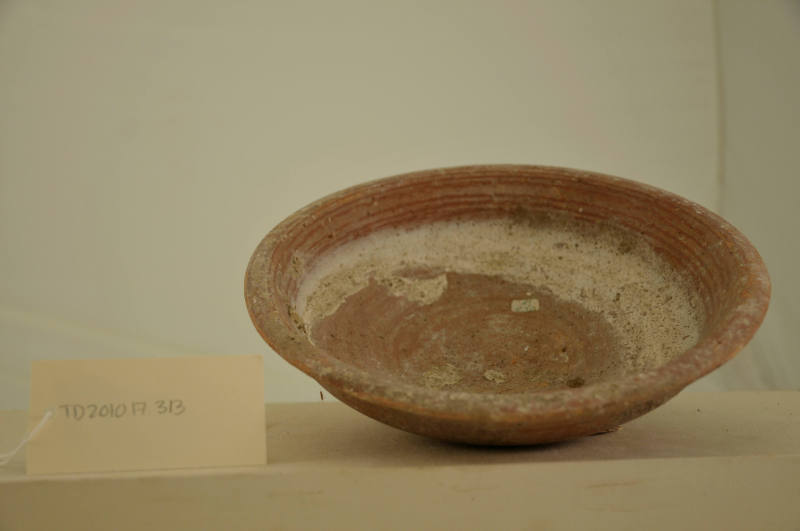 © Michael C. Carlos Museum, Emory University