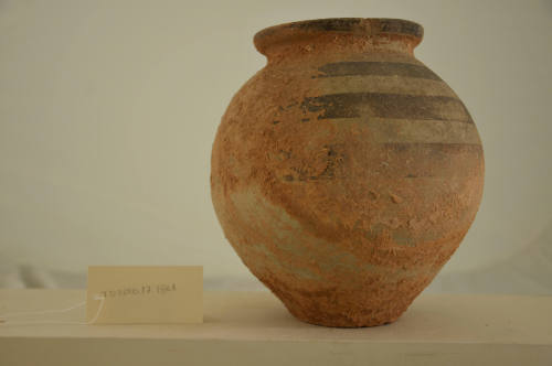 © Michael C. Carlos Museum, Emory University