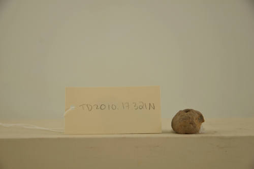 © Michael C. Carlos Museum, Emory University