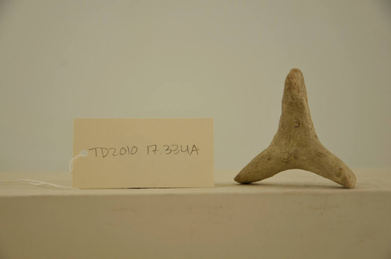 © Michael C. Carlos Museum, Emory University