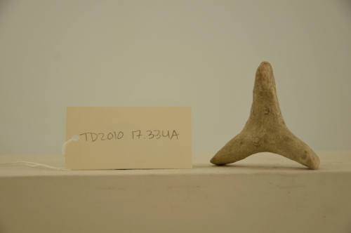 © Michael C. Carlos Museum, Emory University