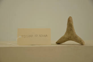 © Michael C. Carlos Museum, Emory University