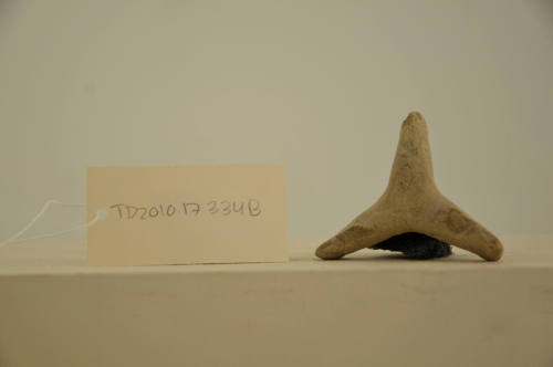 © Michael C. Carlos Museum, Emory University