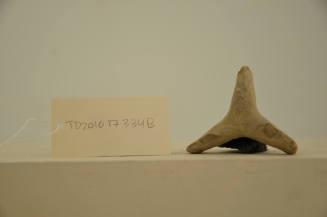 © Michael C. Carlos Museum, Emory University