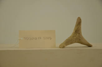 © Michael C. Carlos Museum, Emory University
