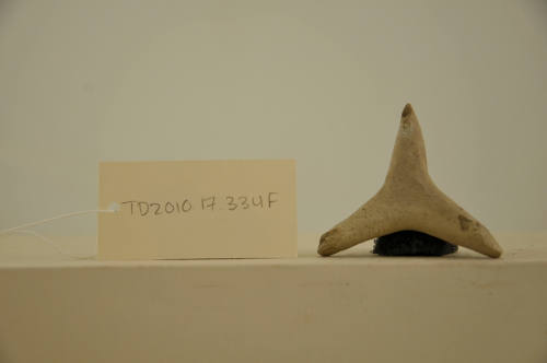© Michael C. Carlos Museum, Emory University