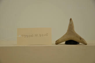 © Michael C. Carlos Museum, Emory University