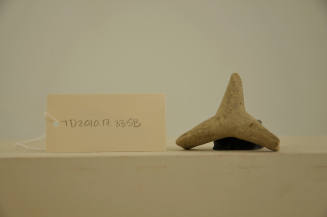 © Michael C. Carlos Museum, Emory University