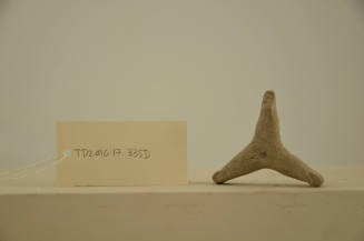 © Michael C. Carlos Museum, Emory University