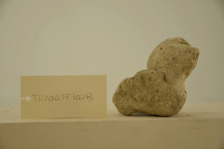 © Michael C. Carlos Museum, Emory University
