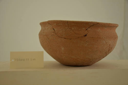 © Michael C. Carlos Museum, Emory University